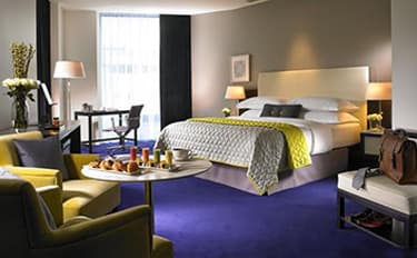 Luxury Safari Lodge Room